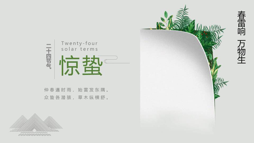 大寒节气星夜繁花PPT模板0