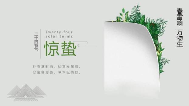 大寒节气星夜繁花PPT模板0