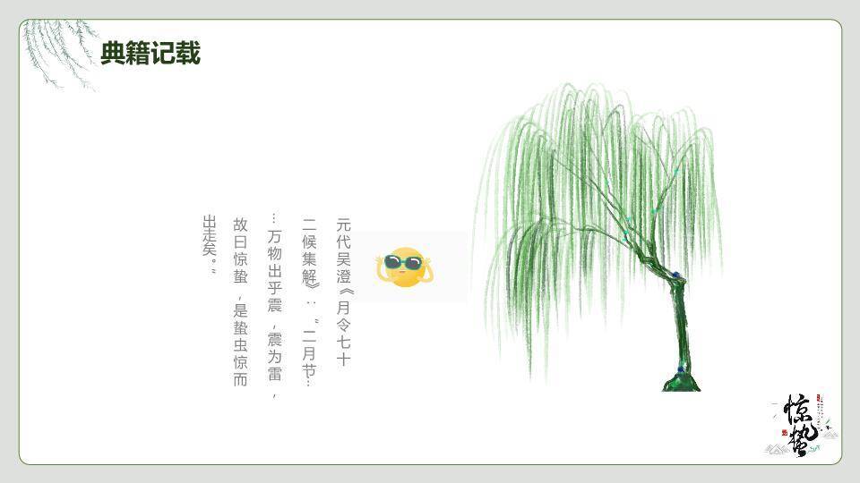 大寒节气星夜繁花PPT模板2