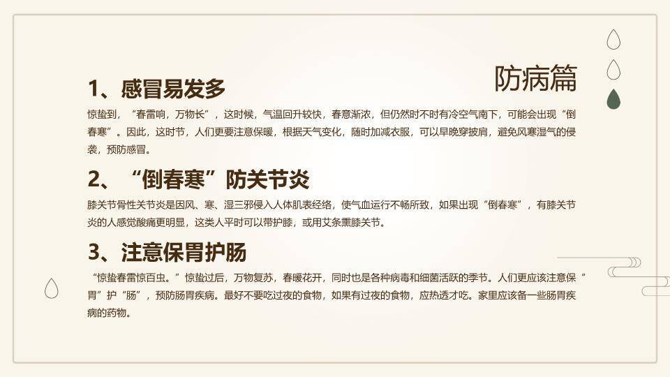 大寒节气窗格雅韵PPT模板9