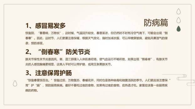 大寒节气窗格雅韵PPT模板9