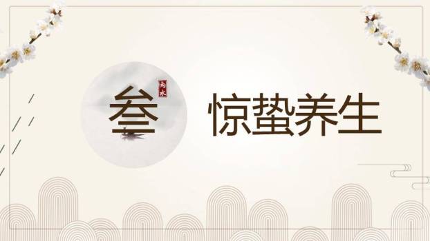 大寒节气窗格雅韵PPT模板5