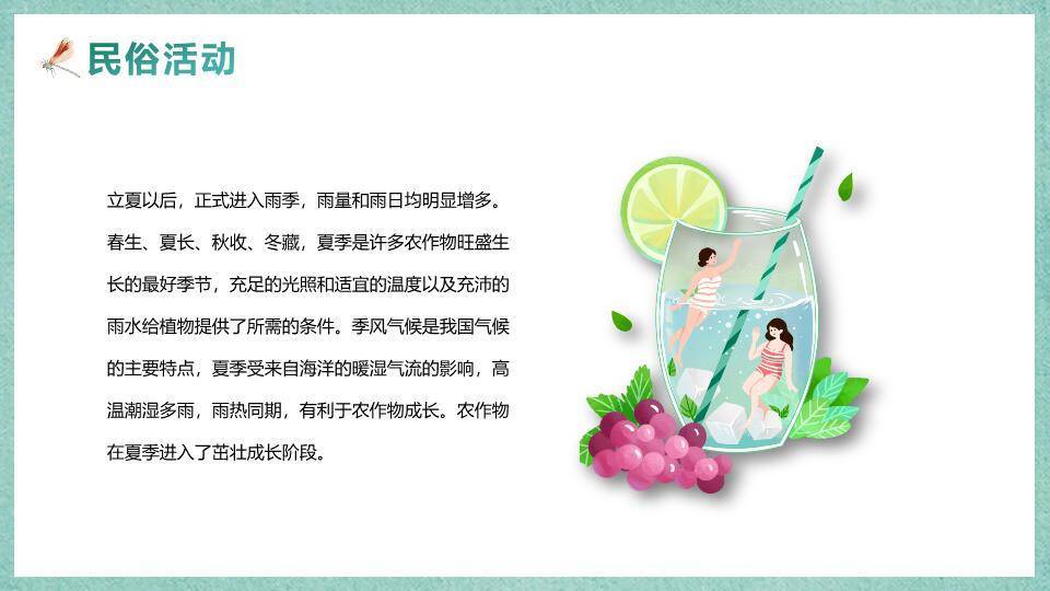 大寒节气墨梅飞鸟PPT模板5