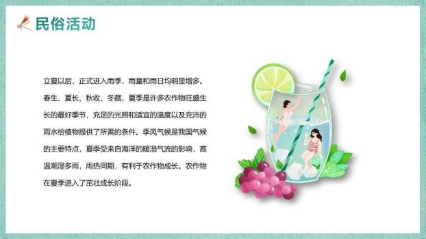 大寒节气墨梅飞鸟PPT模板5