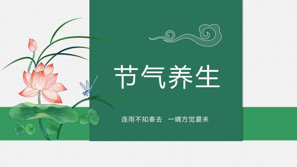 立夏节气青蛙绿意PPT模板5
