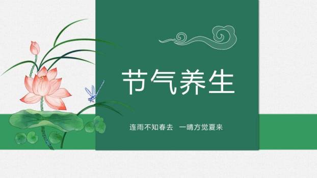 立夏节气青蛙绿意PPT模板5