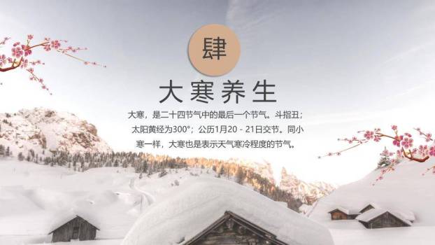 大寒节气雪中梅花PPT模板9