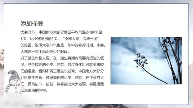 大寒节气雪中梅花PPT模板1