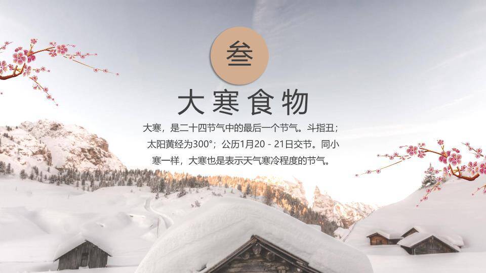 大寒节气雪中梅花PPT模板4