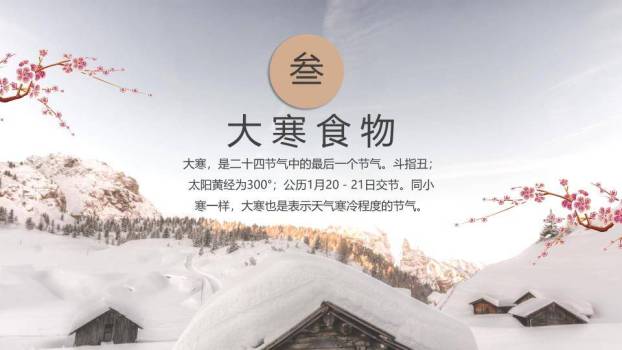 大寒节气雪中梅花PPT模板4