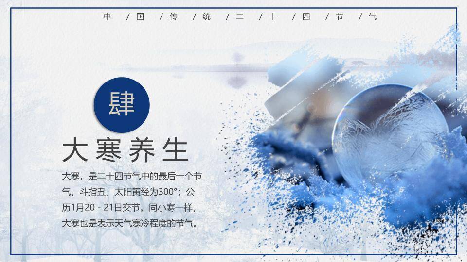 大寒节气冰韵飞鹤PPT模板9