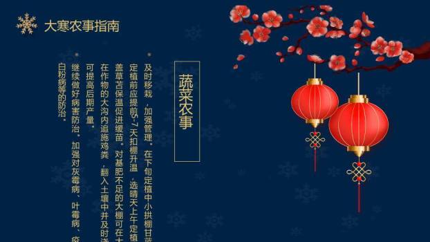 大寒节气星夜繁花PPT模板8