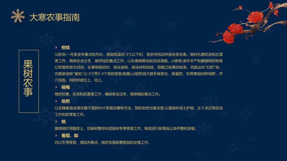 大寒节气星夜繁花PPT模板9