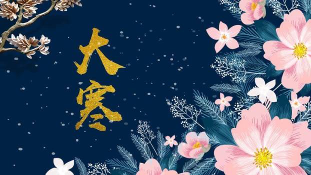 大寒节气星夜繁花PPT模板0