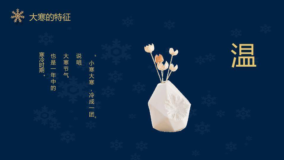 大寒节气星夜繁花PPT模板1