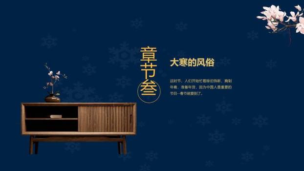 大寒节气星夜繁花PPT模板3