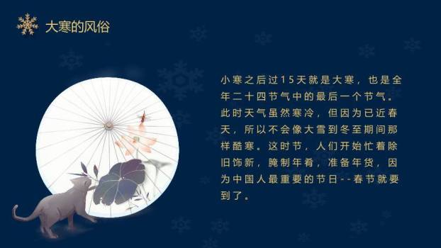 大寒节气星夜繁花PPT模板4