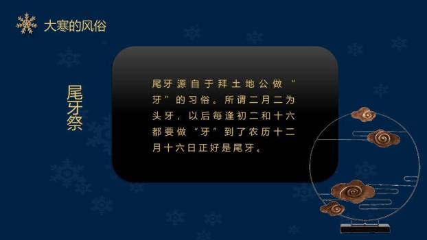 大寒节气星夜繁花PPT模板5
