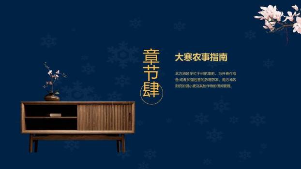 大寒节气星夜繁花PPT模板6