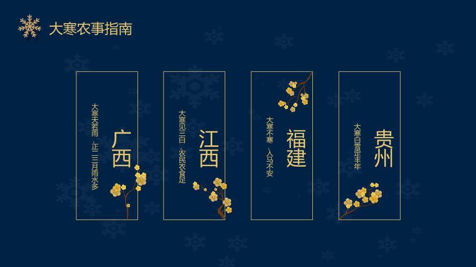 大寒节气星夜繁花PPT模板7