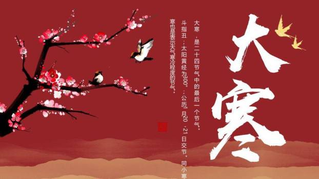 大寒节气梅影飞鸟PPT模板0