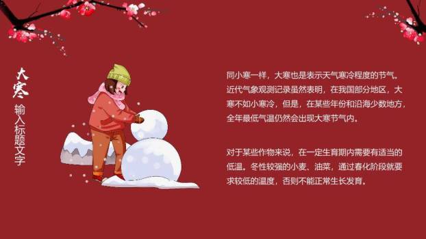 大寒节气梅影飞鸟PPT模板1