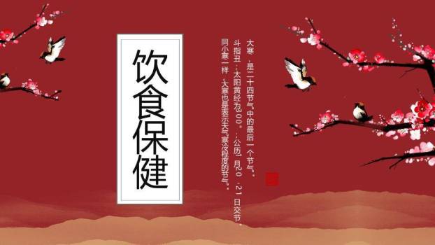 大寒节气梅影飞鸟PPT模板3