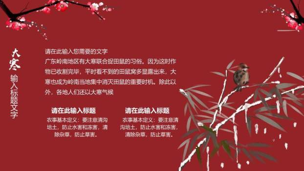 大寒节气梅影飞鸟PPT模板5
