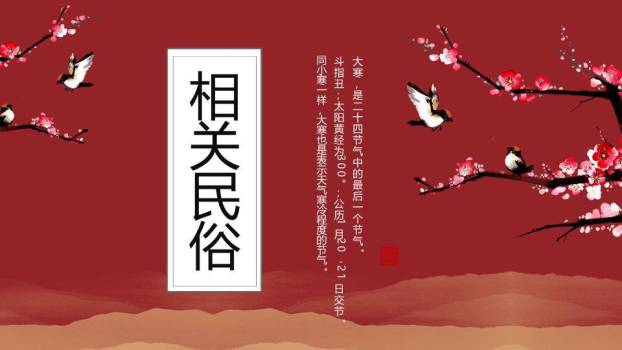 大寒节气梅影飞鸟PPT模板7