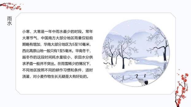 大寒节气红日樱花PPT模板2