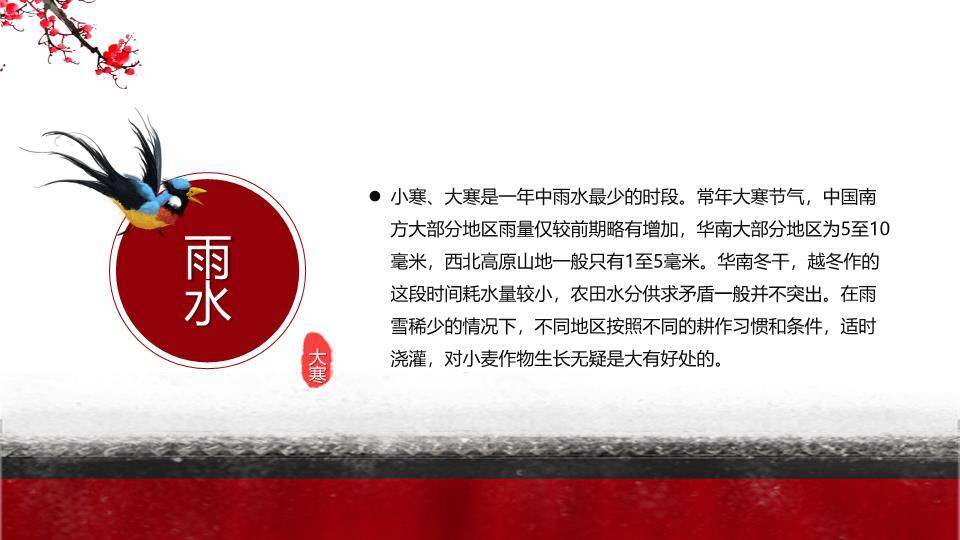 大寒节气墨梅飞鸟PPT模板1