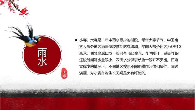 大寒节气墨梅飞鸟PPT模板1