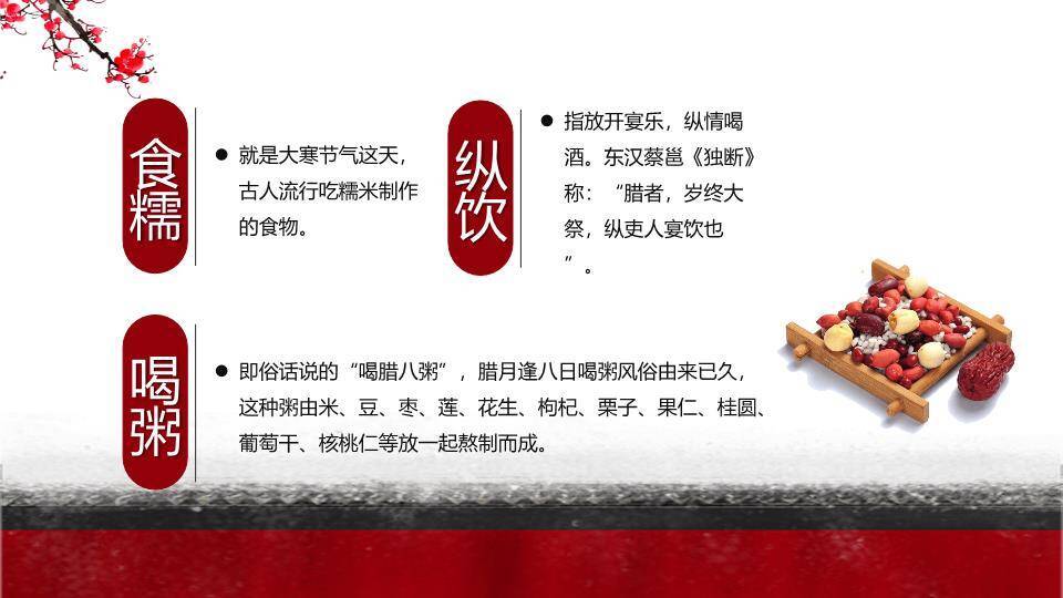 大寒节气墨梅飞鸟PPT模板4