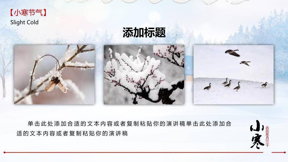 小寒节气冬日雪景PPT模板1