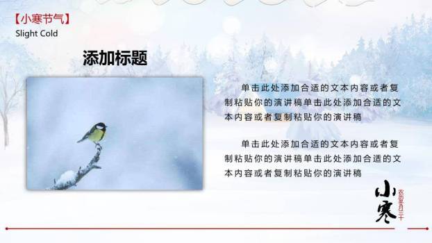 小寒节气冬日雪景PPT模板2