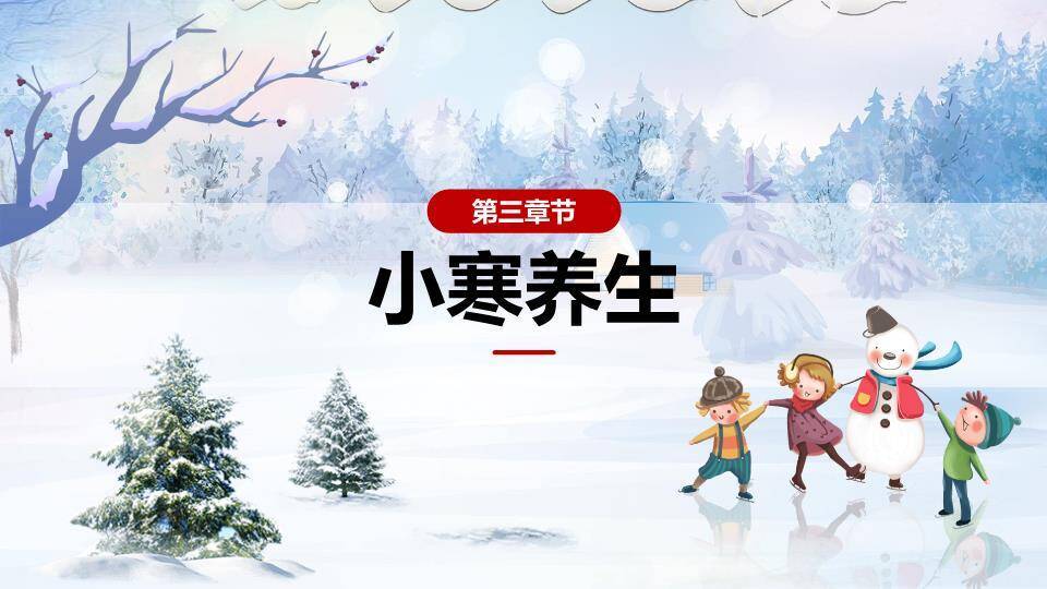 小寒节气冬日雪景PPT模板4