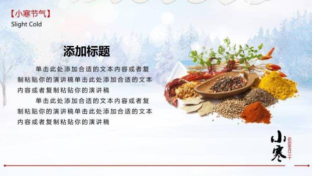 小寒节气冬日雪景PPT模板7