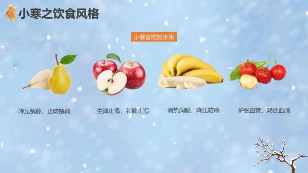 小寒节气雪中童趣PPT模板9