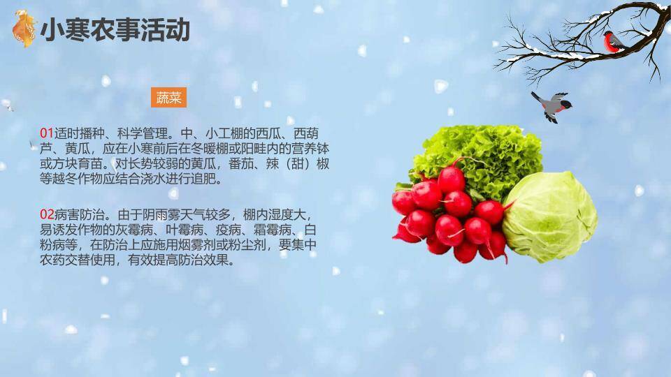 小寒节气雪中童趣PPT模板1