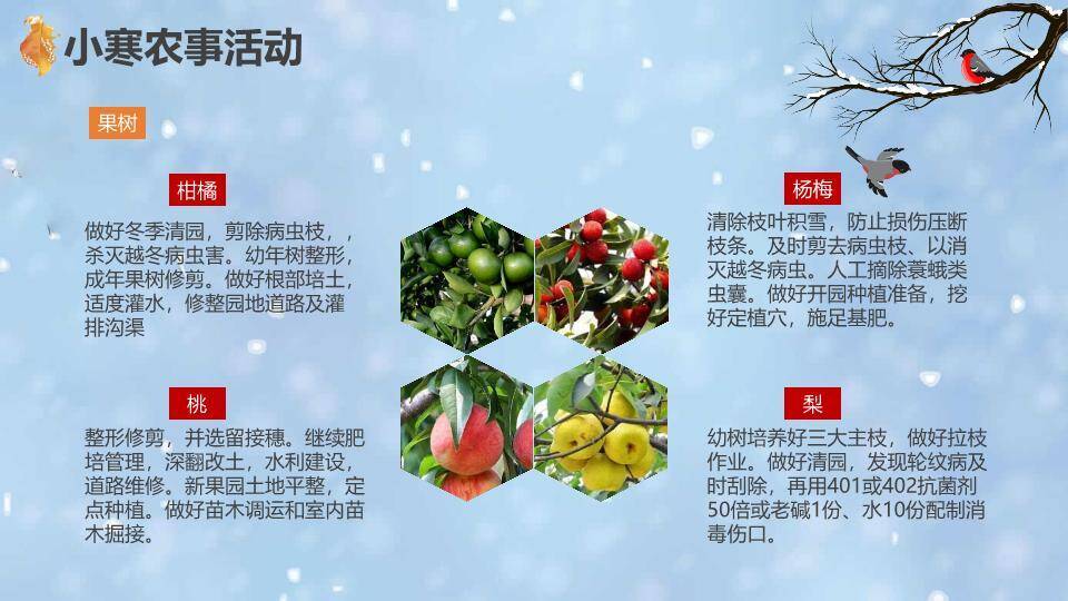 小寒节气雪中童趣PPT模板2