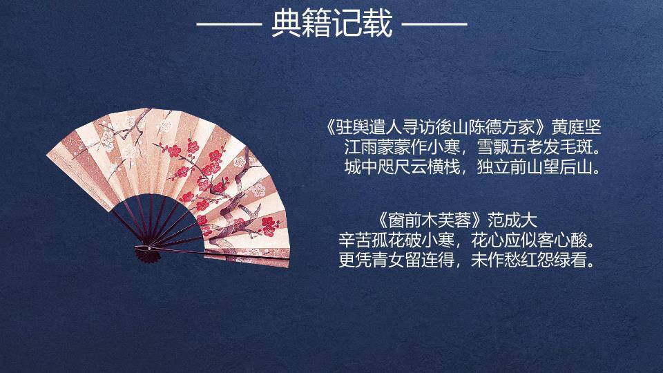 小寒节气夜雪梅花PPT模板8