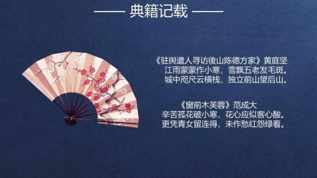 小寒节气夜雪梅花PPT模板8