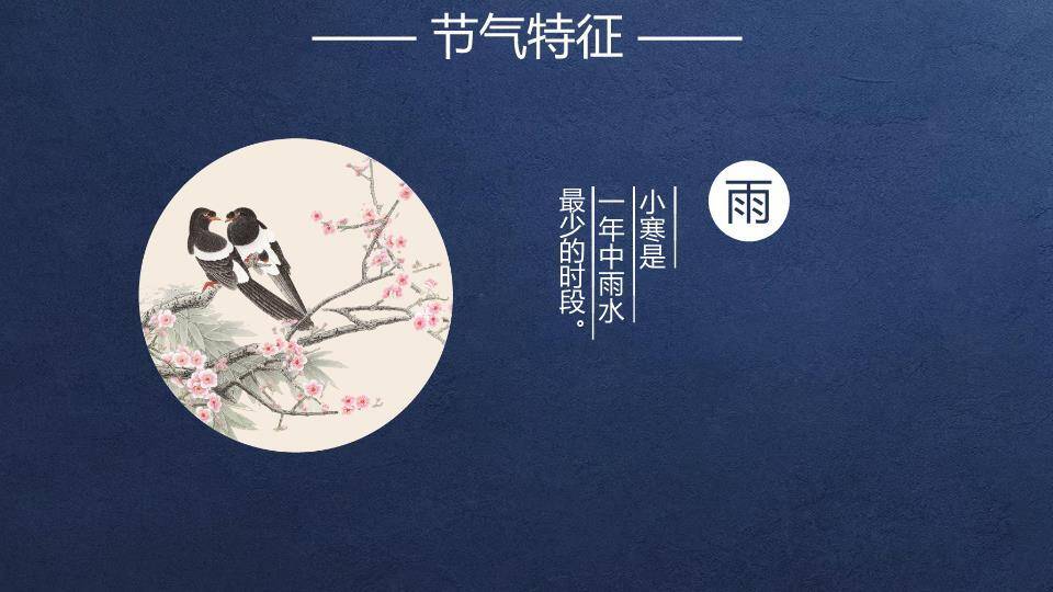 小寒节气夜雪梅花PPT模板1