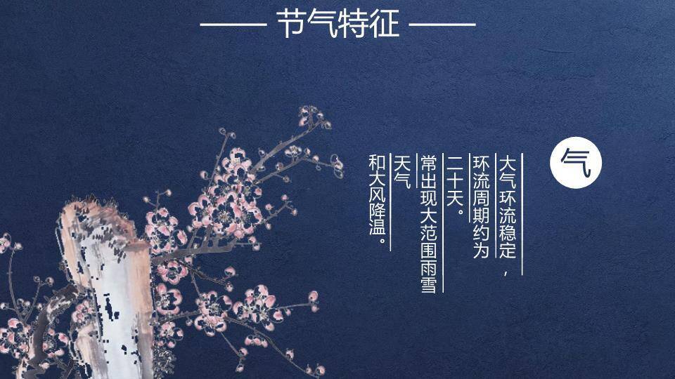 小寒节气夜雪梅花PPT模板2