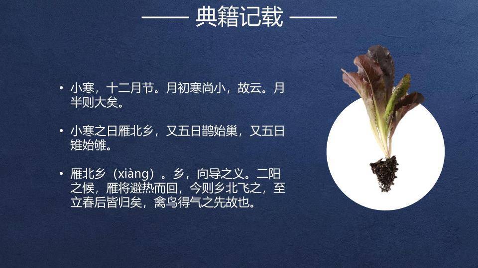 小寒节气夜雪梅花PPT模板4