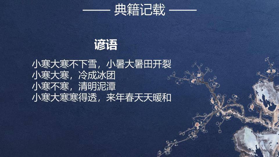 小寒节气夜雪梅花PPT模板5