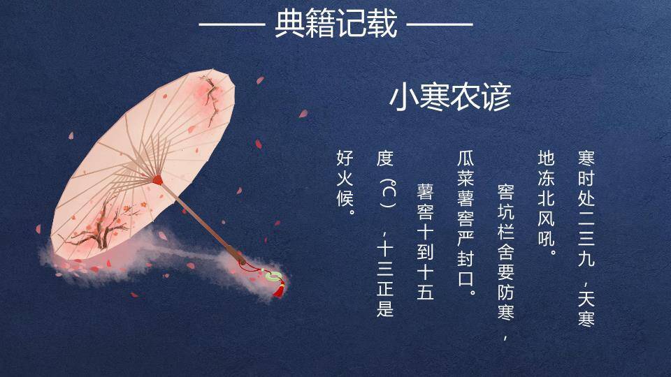 小寒节气夜雪梅花PPT模板6