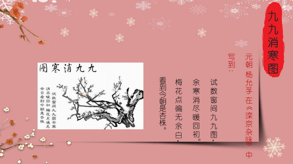 冬至美味饺子PPT模板8