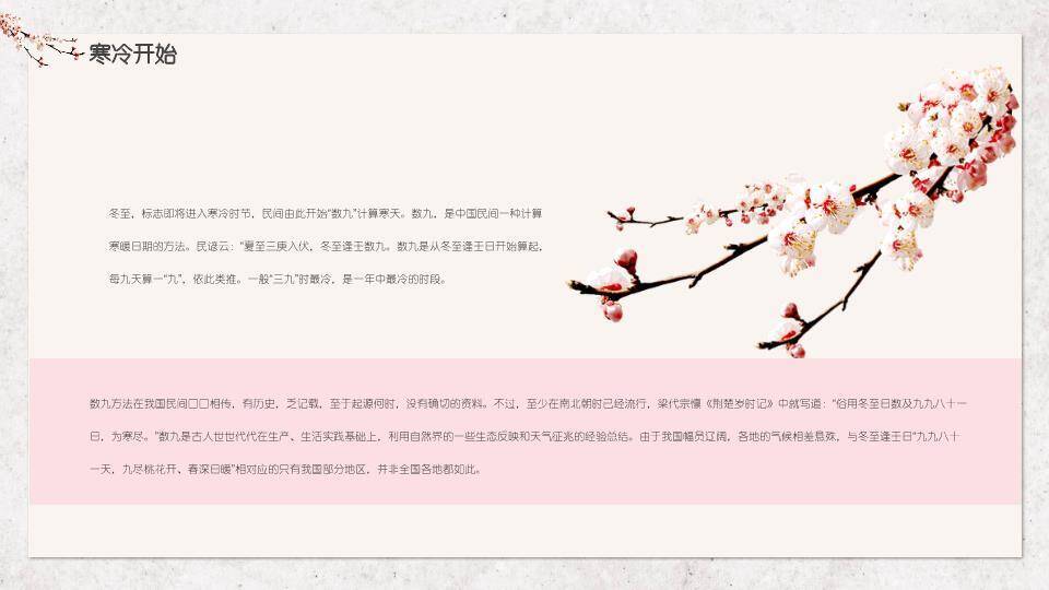 冬至汤圆温馨PPT模板4