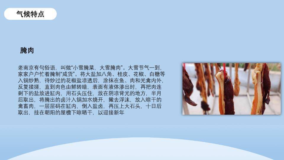 大雪节气童趣雪景PPT模板3